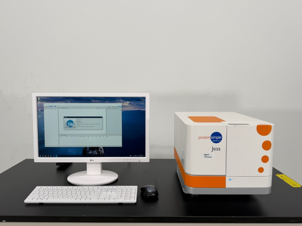 Image of ProteinSimple Jess Western Blot System